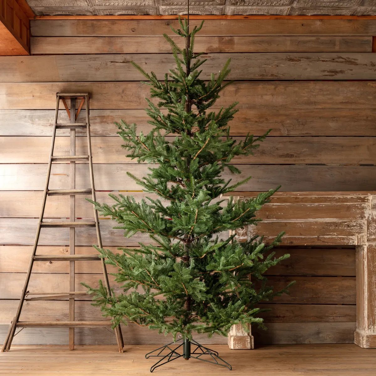 10' Noble Fir Tree With Lights - A Cottage in the City