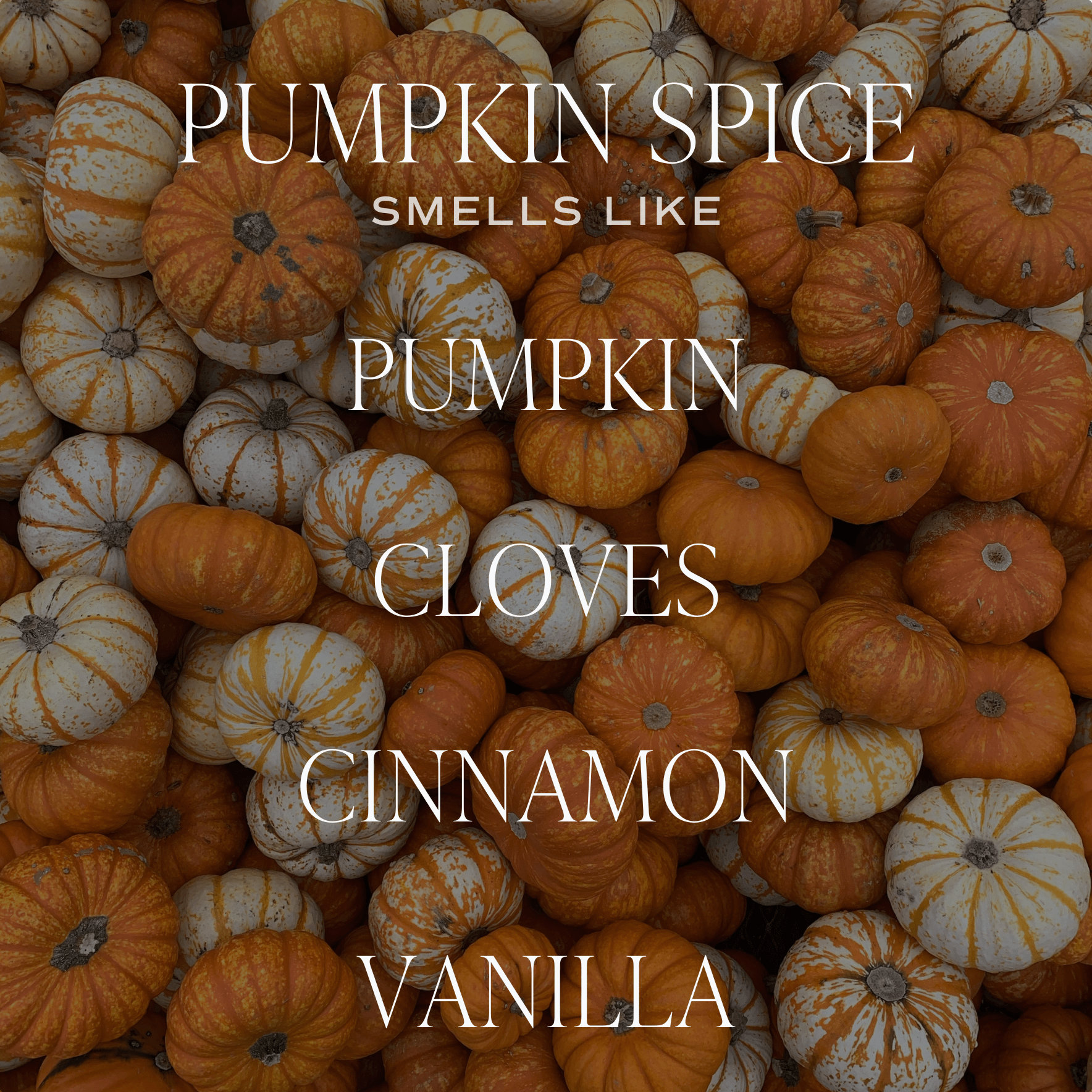 Pumpkin Spice Fluted Soy Candle