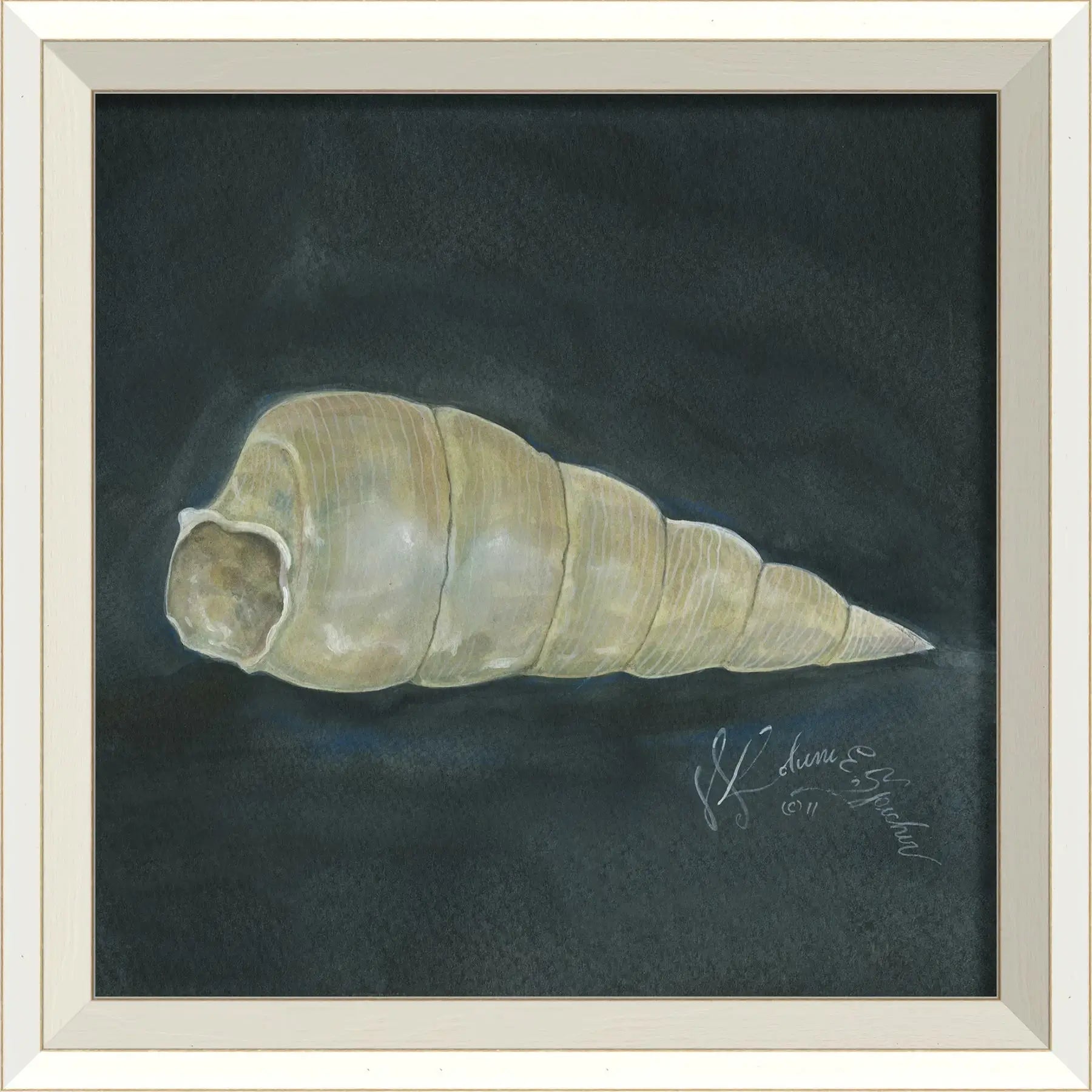 Seashell Art Print With White Frame