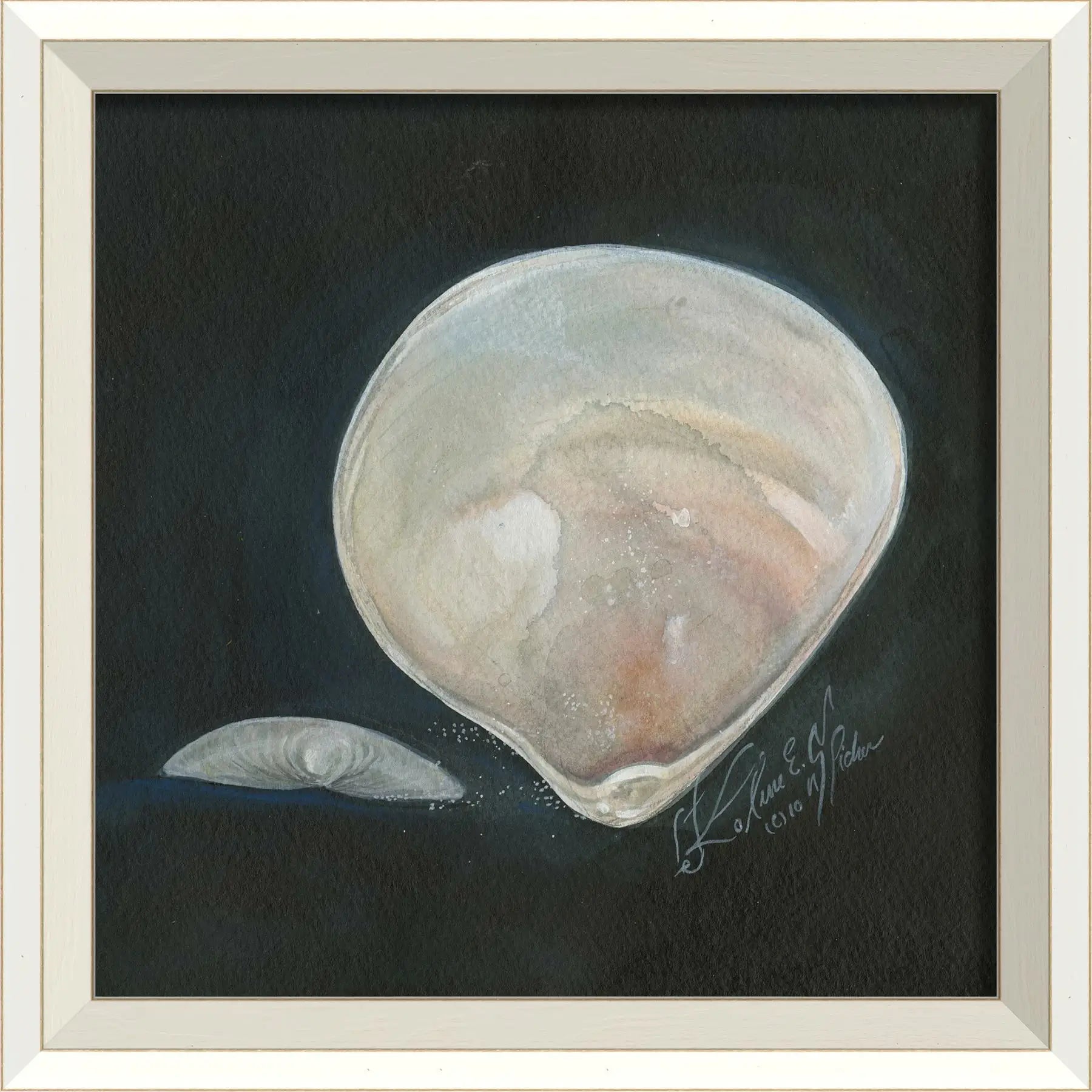 Seashell Art Print With White Frame