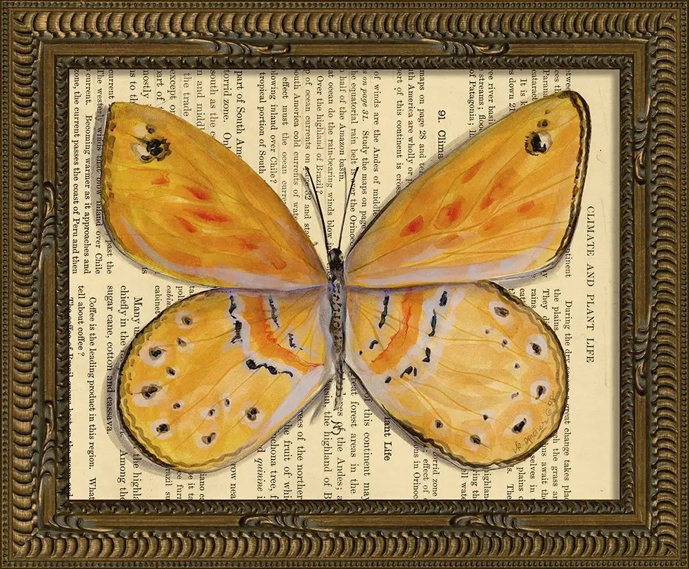 KG Butterfly Framed Art Print