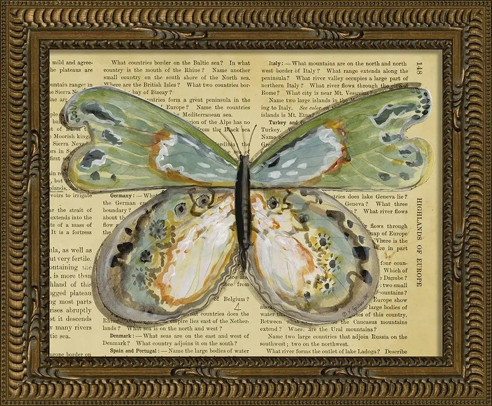 KG Butterfly Framed Art Print