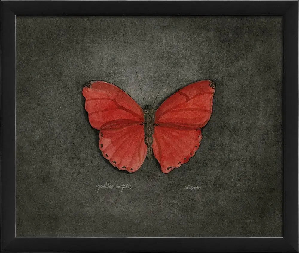 Butterfly Art Print