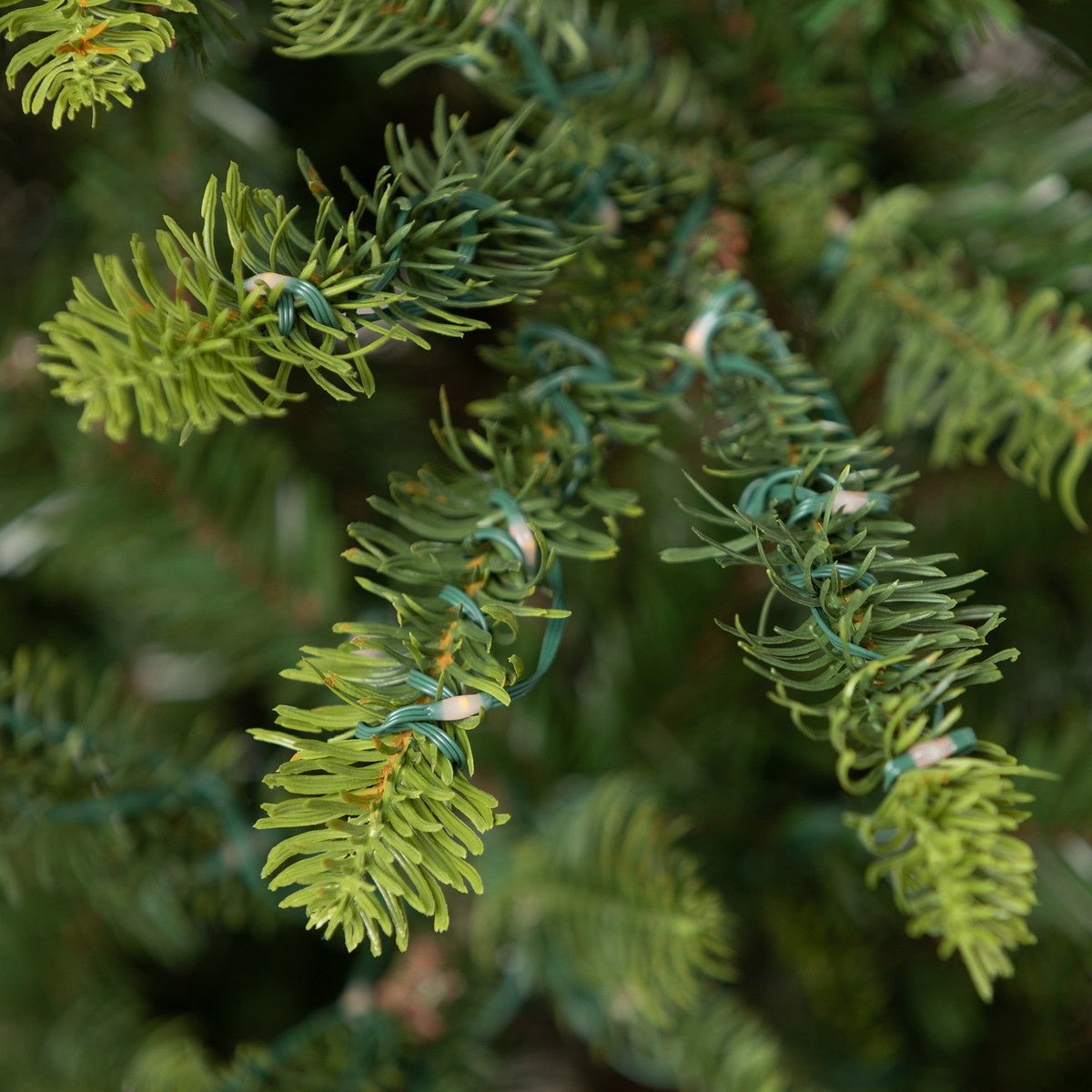 9' Great Northern Spruce Christmas Tree With Micro LED Lights - A Cottage in the City