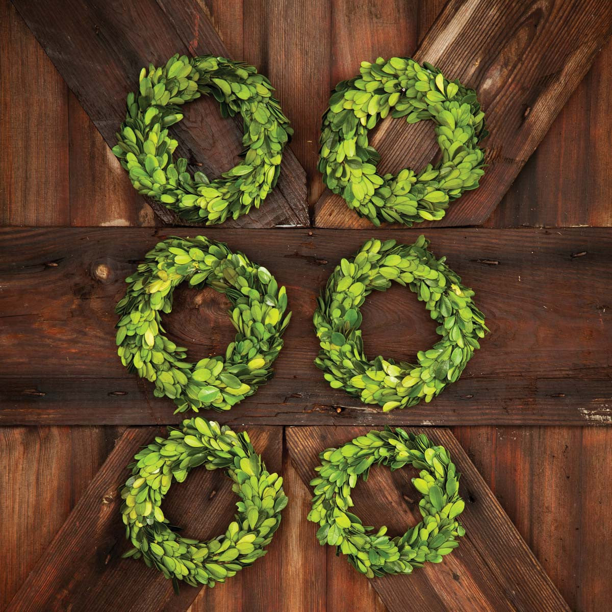 Mini Preserved Boxwood Wreaths Set