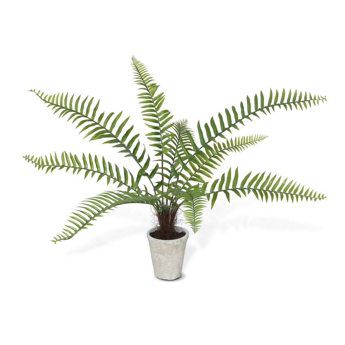 Potted Faux Flat Fern