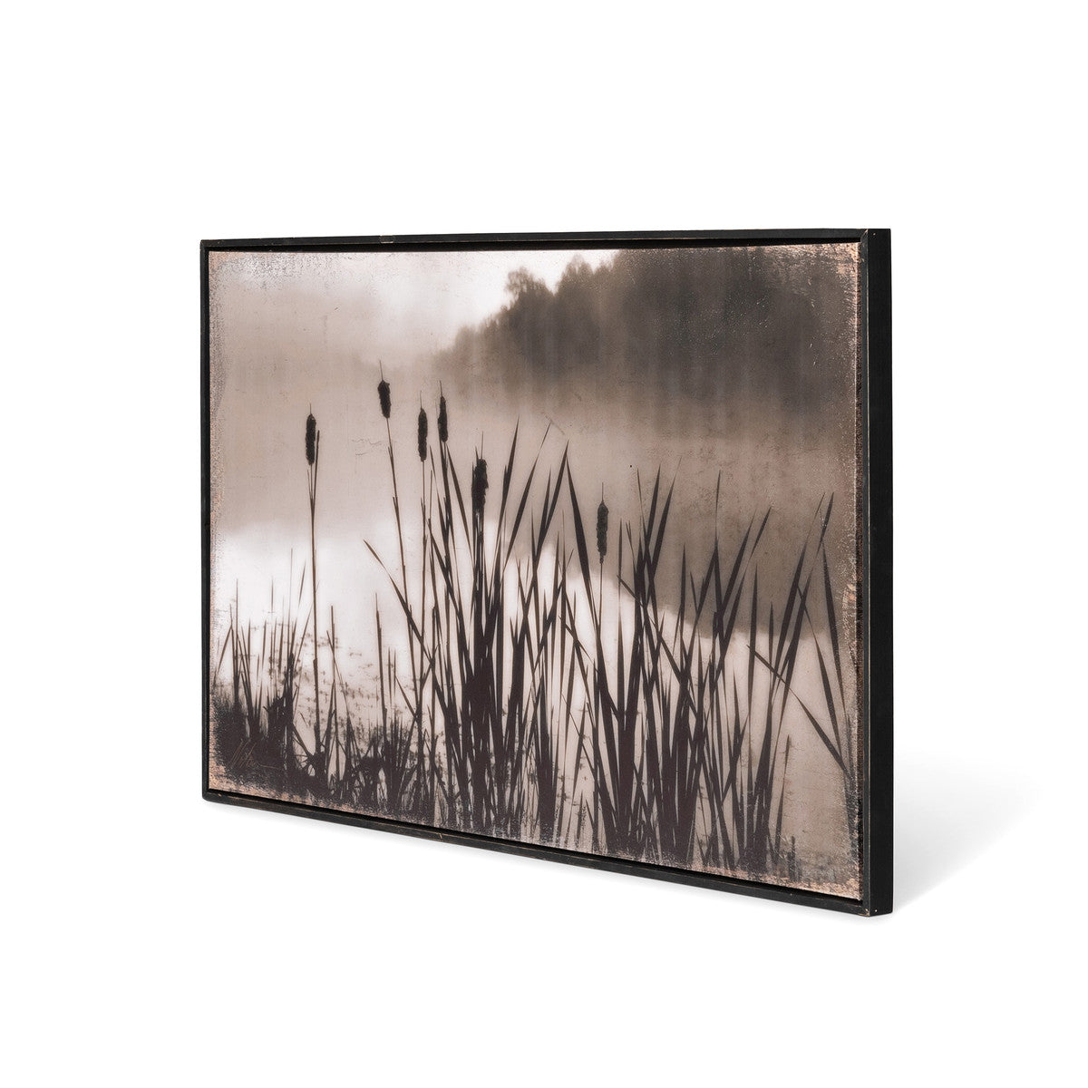 Framed Cattail Print