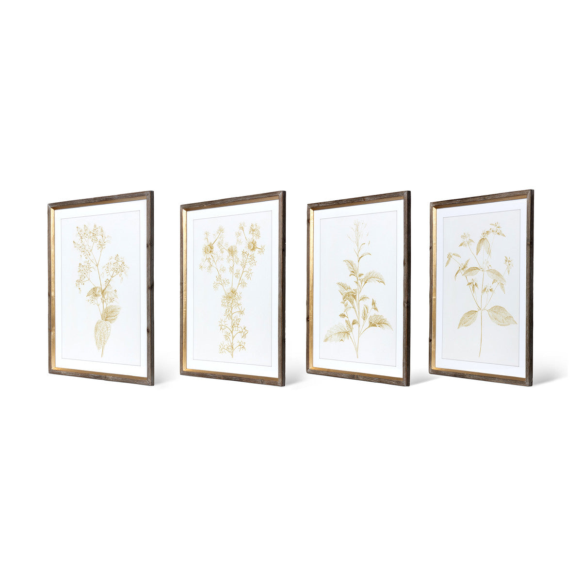 Sepia Botanical Framed Print