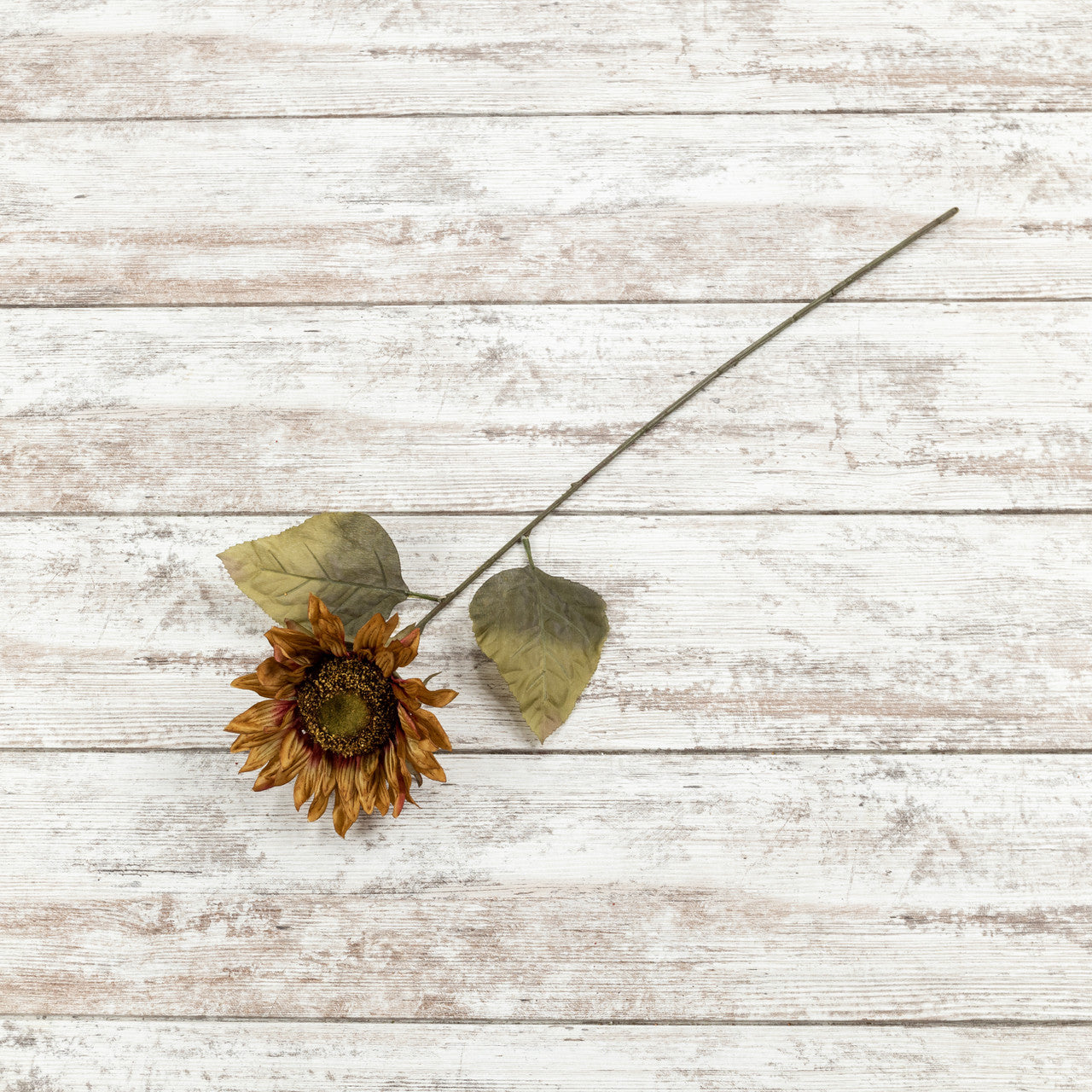 Red & Brown Sunflower Stem