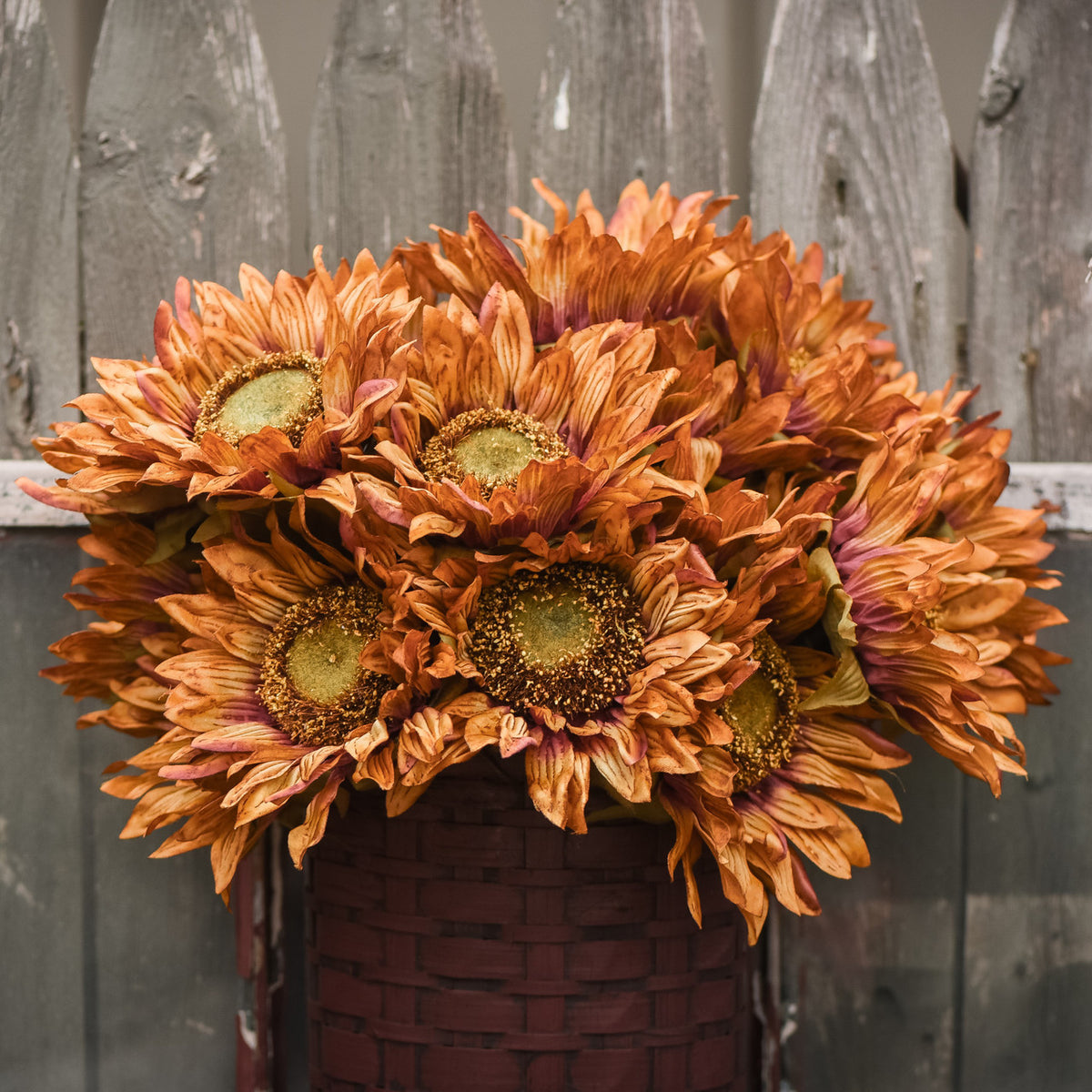 Red &amp; Brown Sunflower Stem