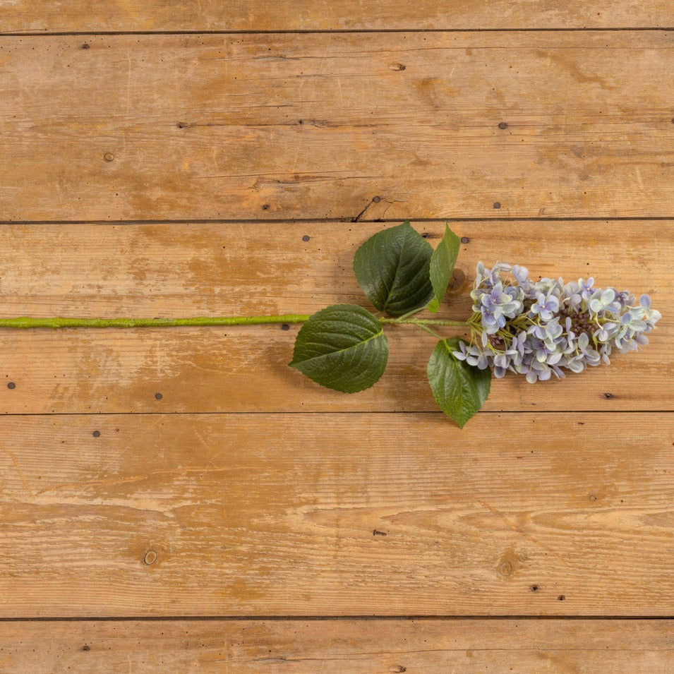 Light Purple Lilac Stem