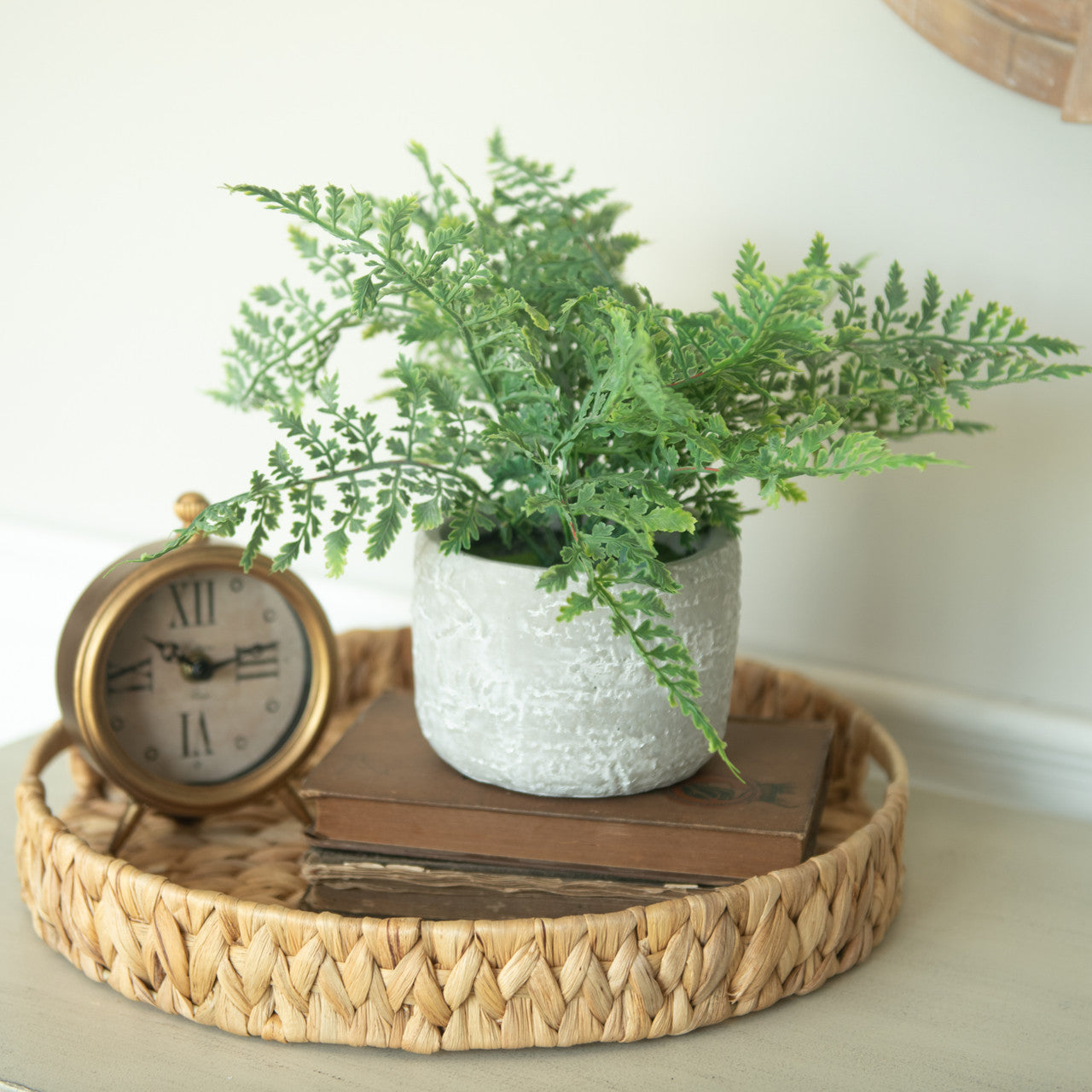 Miniature Fern In Stone Pot