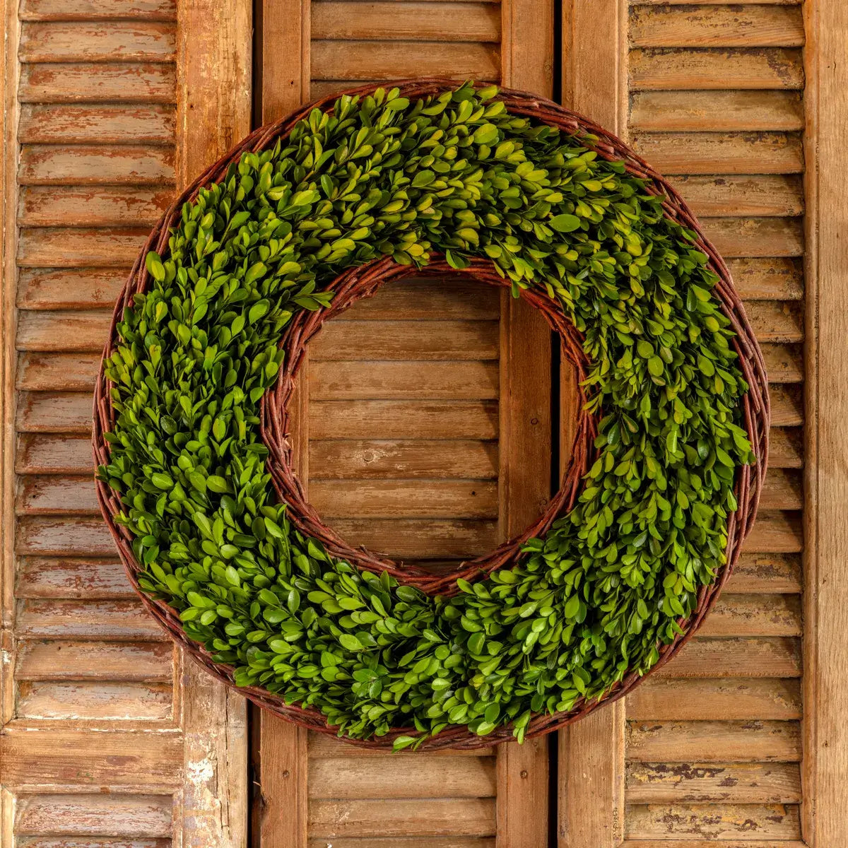 Preserved Boxwood Wreath With Basket