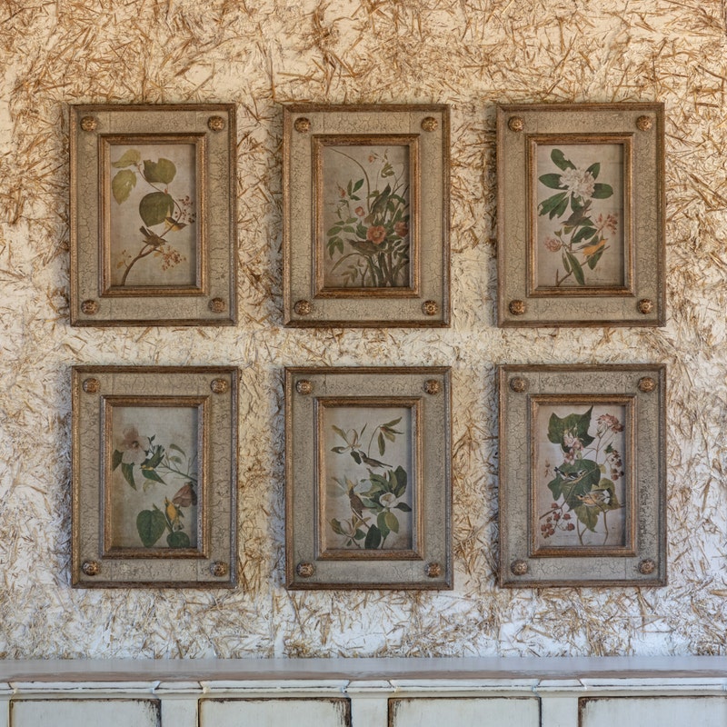 Framed Bird & Floral Aged Print Collection Set