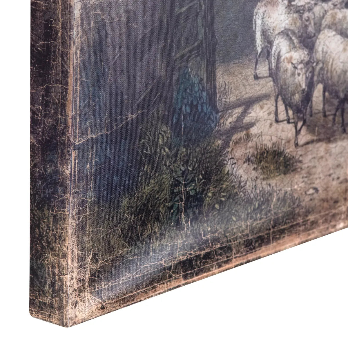 Sheep By The Cottage Aged Gallery Wrap Print