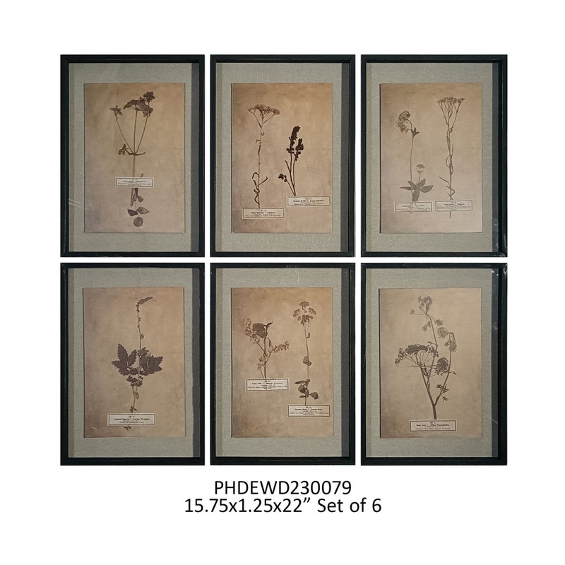 Pressed Botanical Prints Set