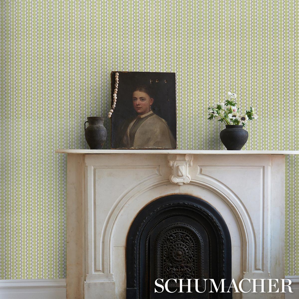 Schumacher Centipede Stripe Print Wallpaper