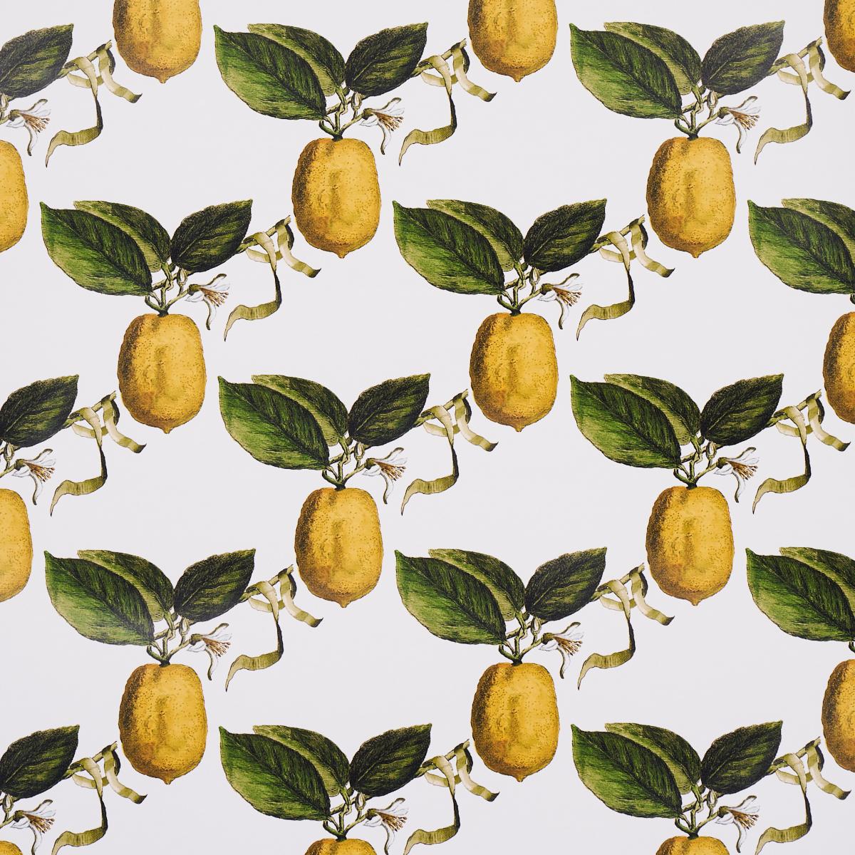 Schumacher Le Citron Wallpaper