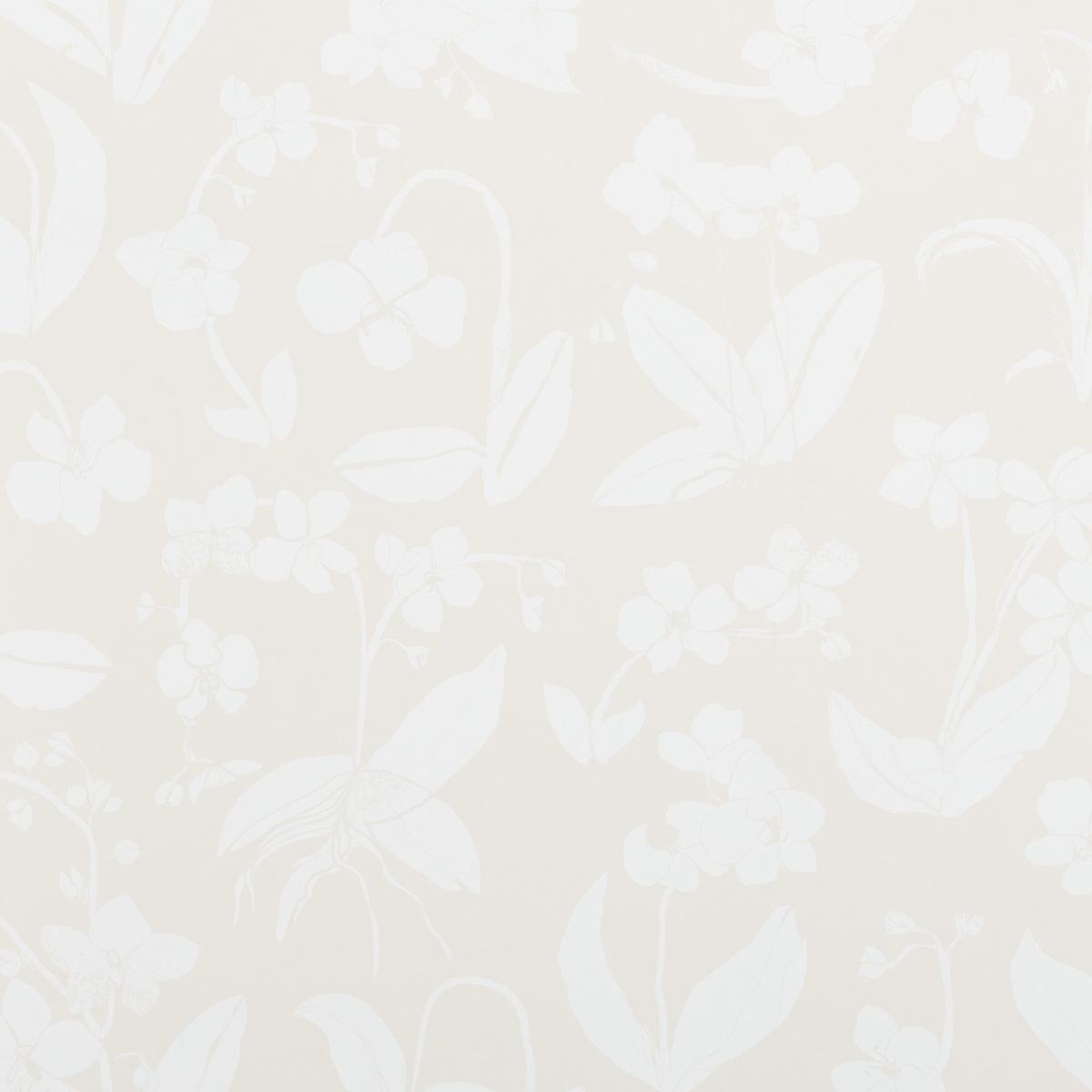 Schumacher Orchids Have Dreams Wallpaper