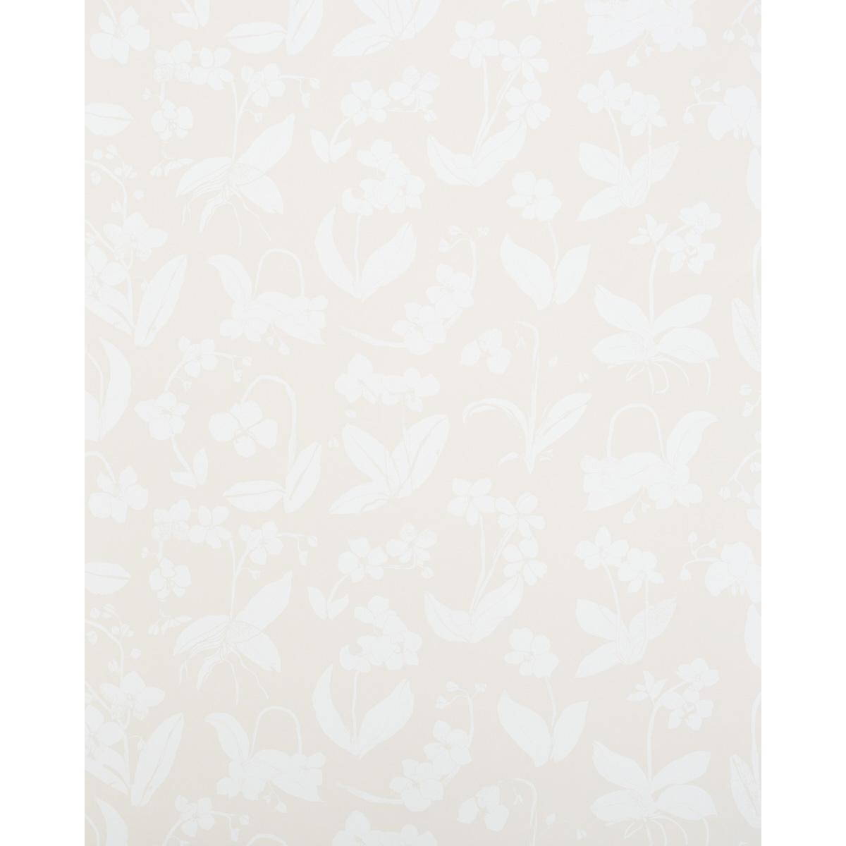 Schumacher Orchids Have Dreams Wallpaper