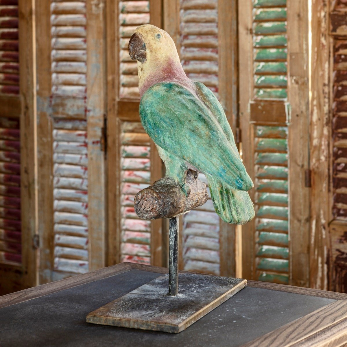 Aged Perched Parrot - A Cottage in the City