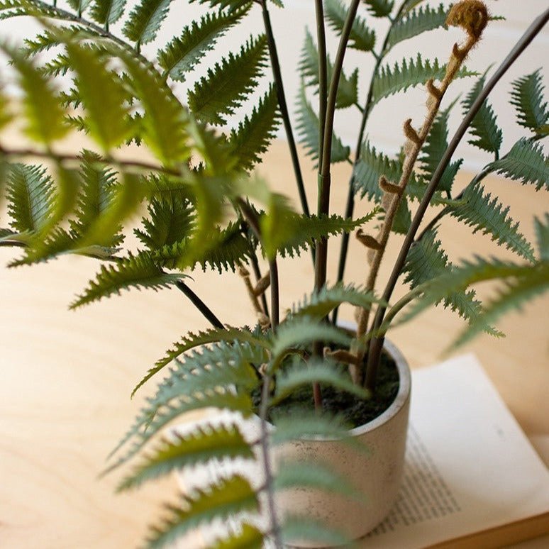 Artificial Fern In Cement Pot - A Cottage in the City