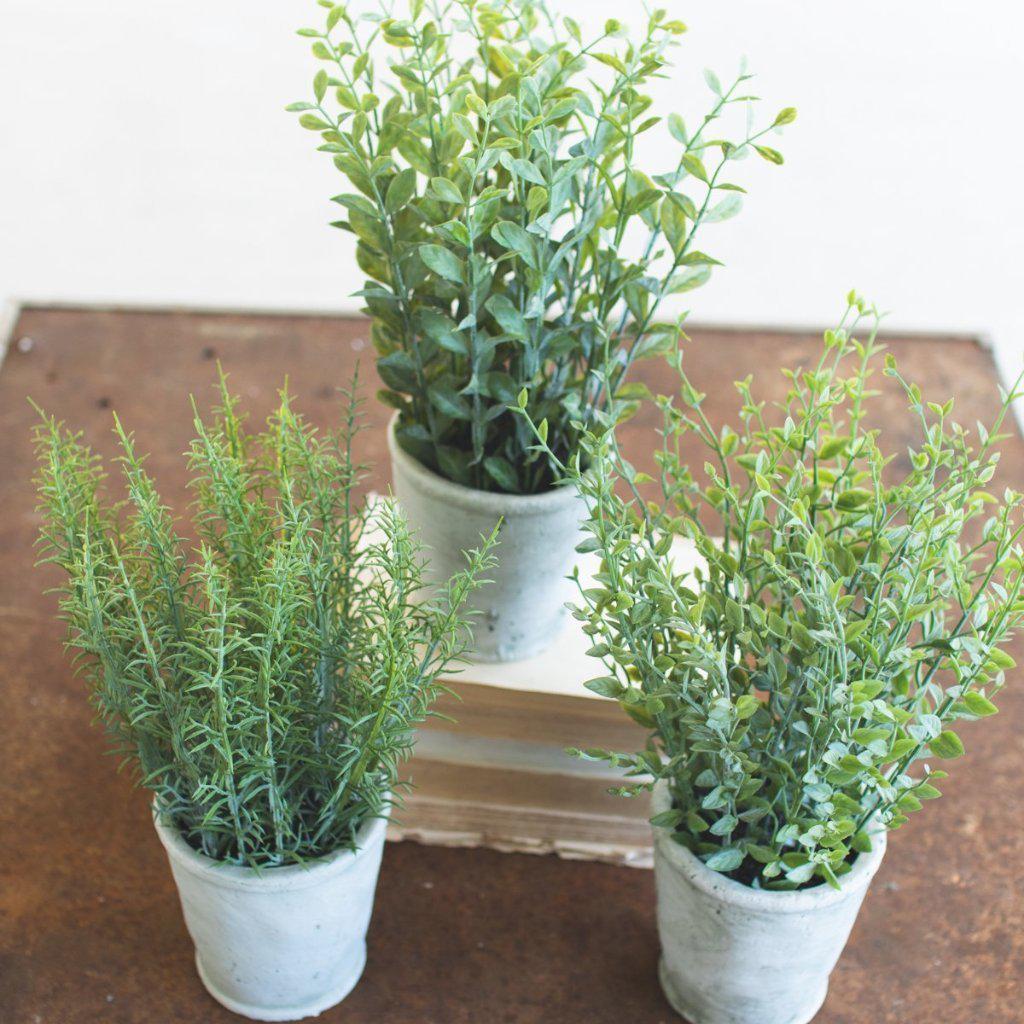 Artificial Herb In Cement Pot - A Cottage in the City