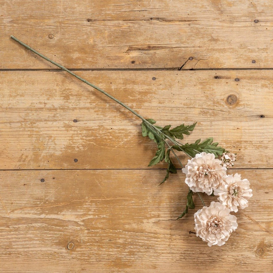 Autumn Cream Scabiosa Spray - A Cottage in the City