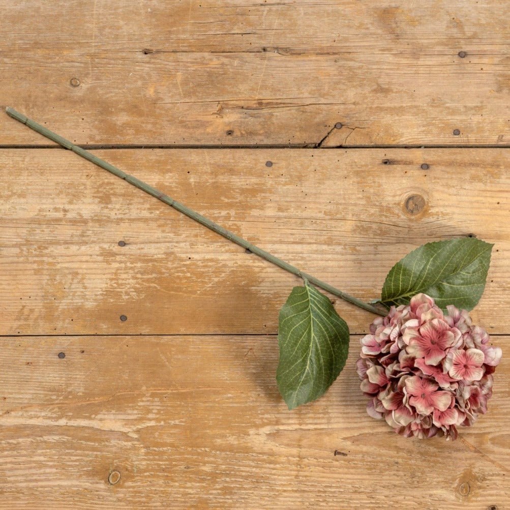 Autumn Mauve Hydrangea Stem - A Cottage in the City