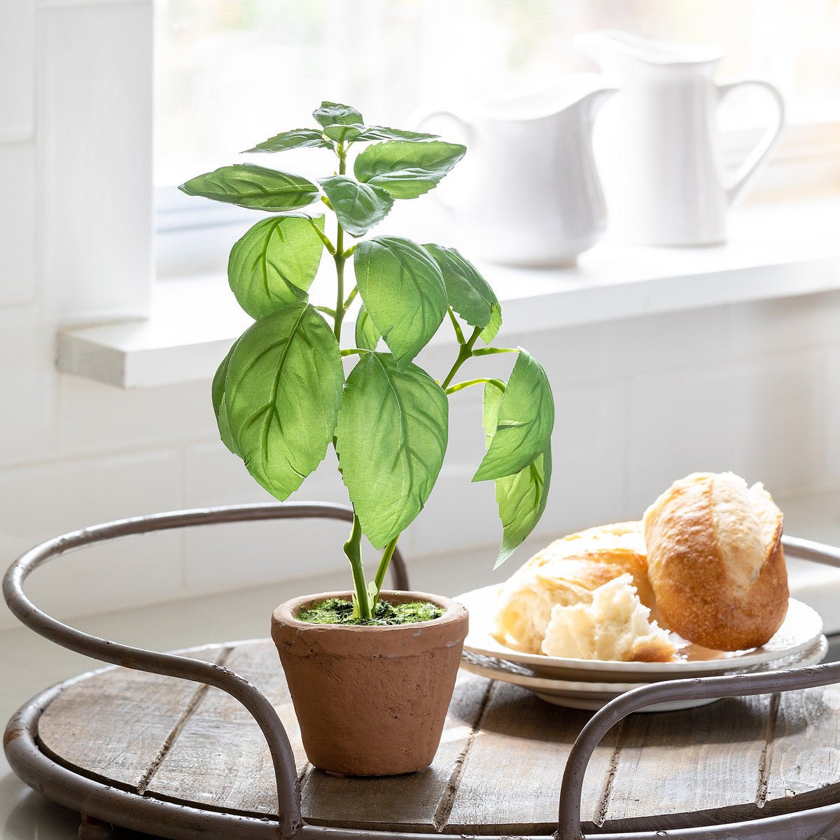 Basil Plant in Windowsill Pot - A Cottage in the City