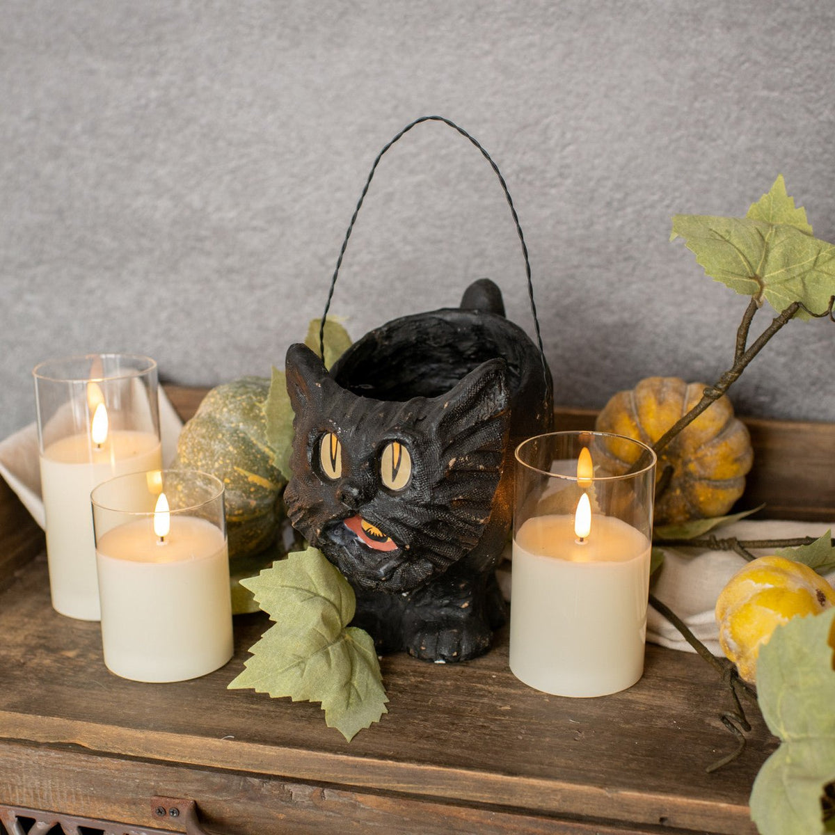 Black Vintage Cat Container - A Cottage in the City