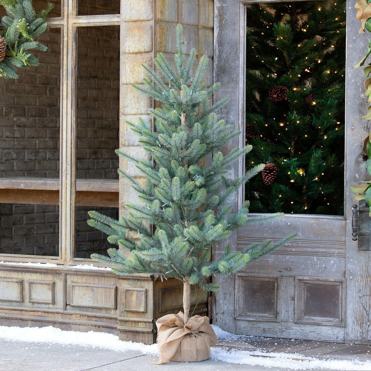 Blue Spruce Seedling With LED Lights &amp; Burlap Base - A Cottage in the City