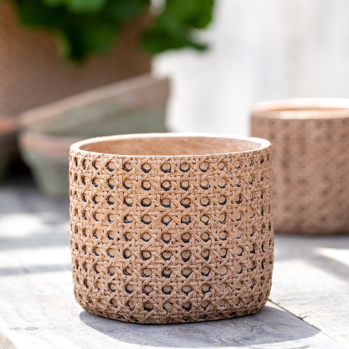 Cane Relief Pattern Cement Pot - A Cottage in the City