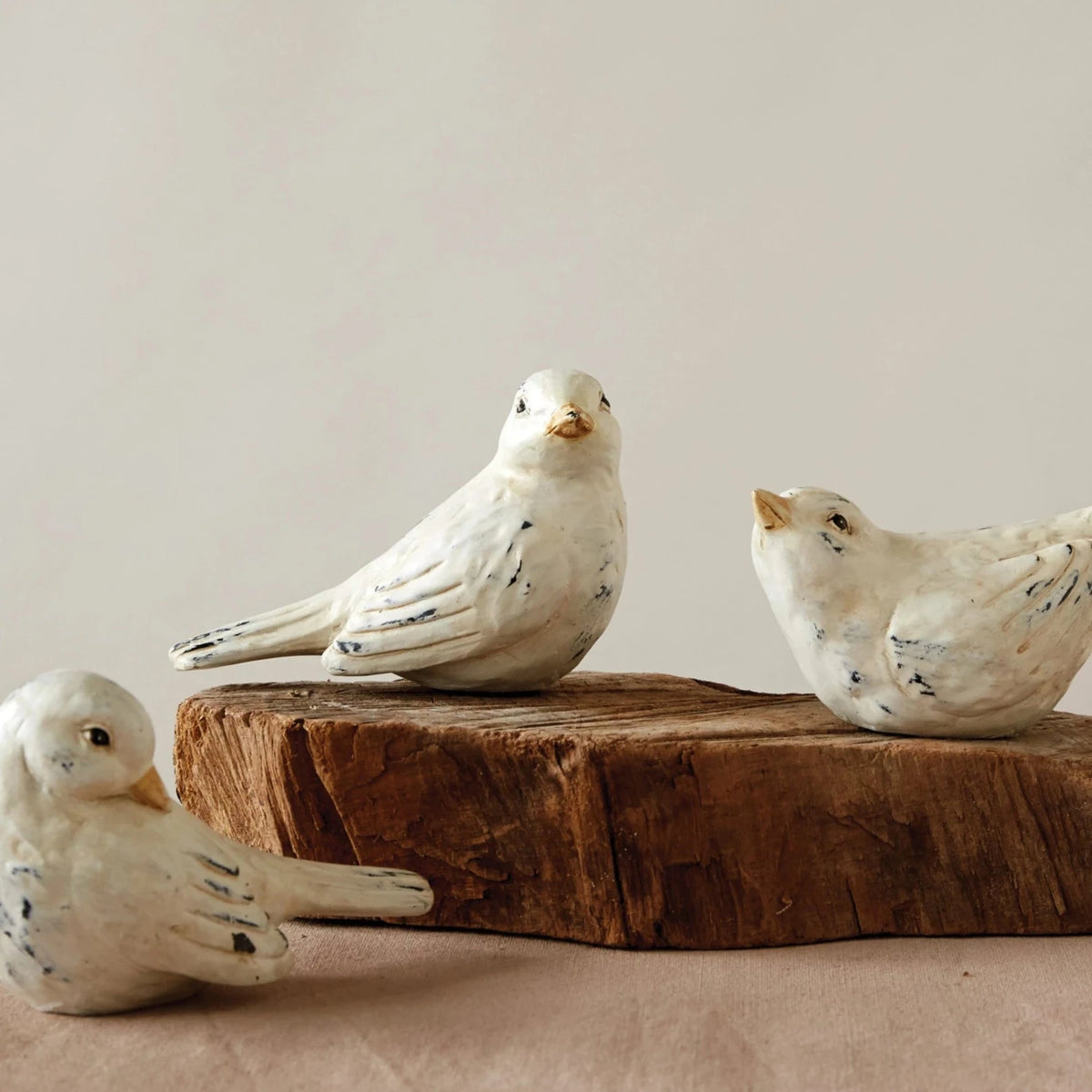 Distressed Resin Bird Set