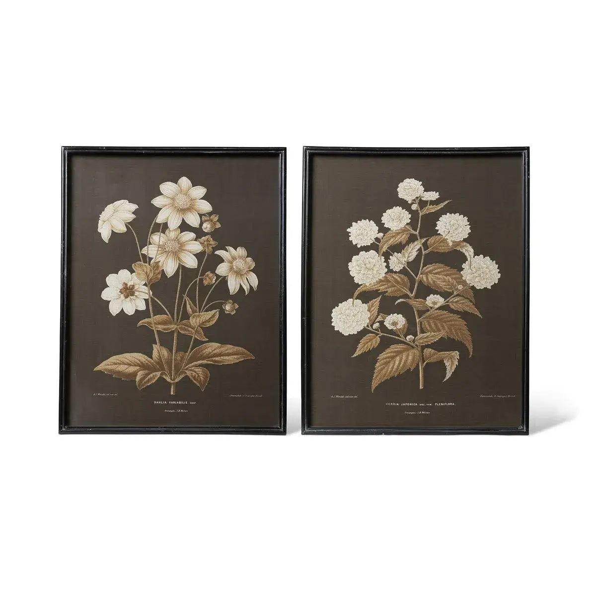 Garden Floral Botanical Framed Print Set