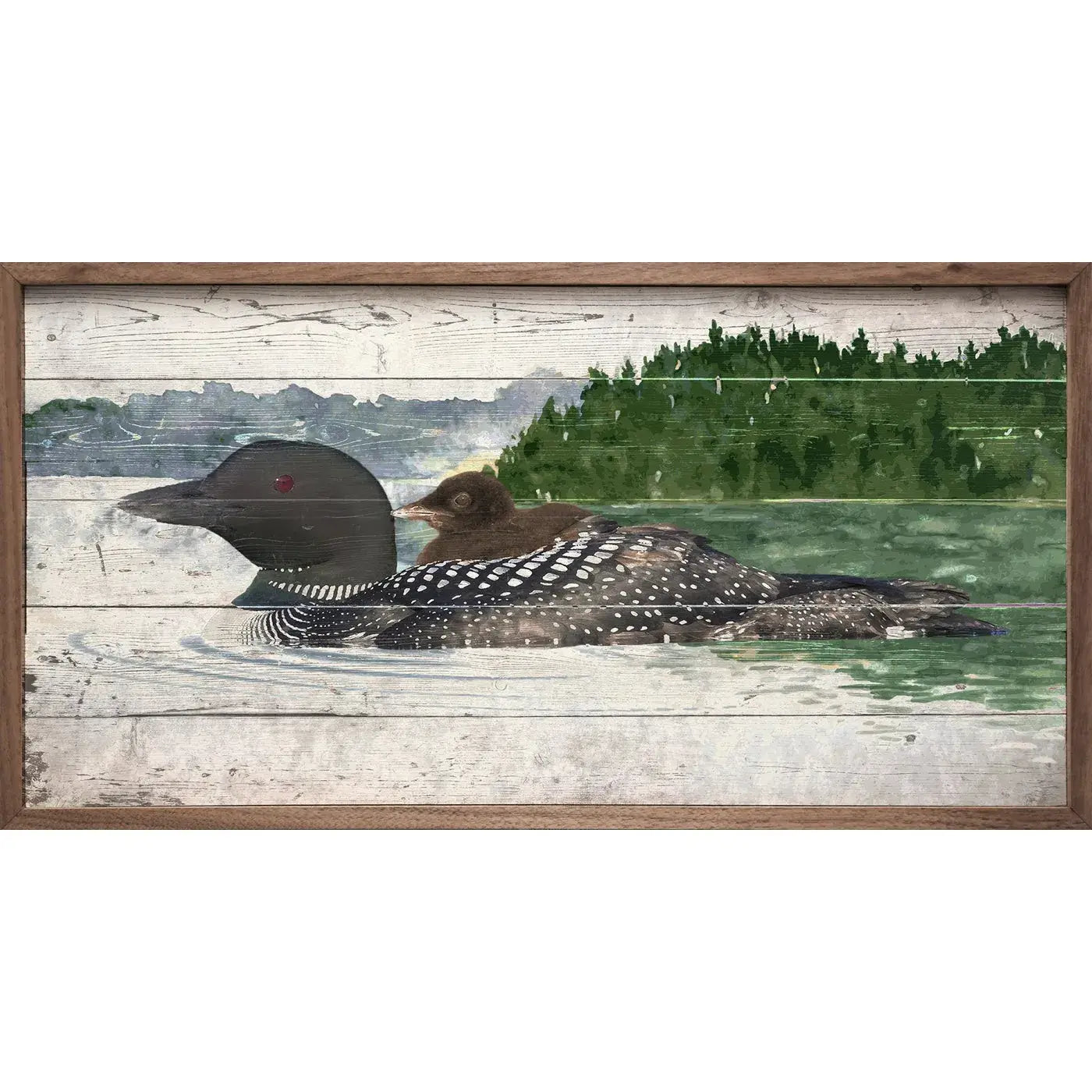 Loon And Baby On Water Wood Framed Print