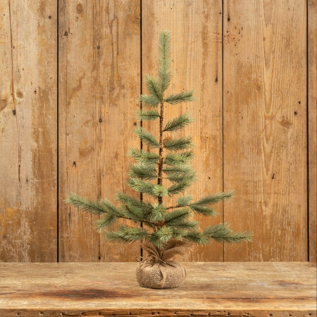 24" Foxtail Pine Tree With Burlap Base