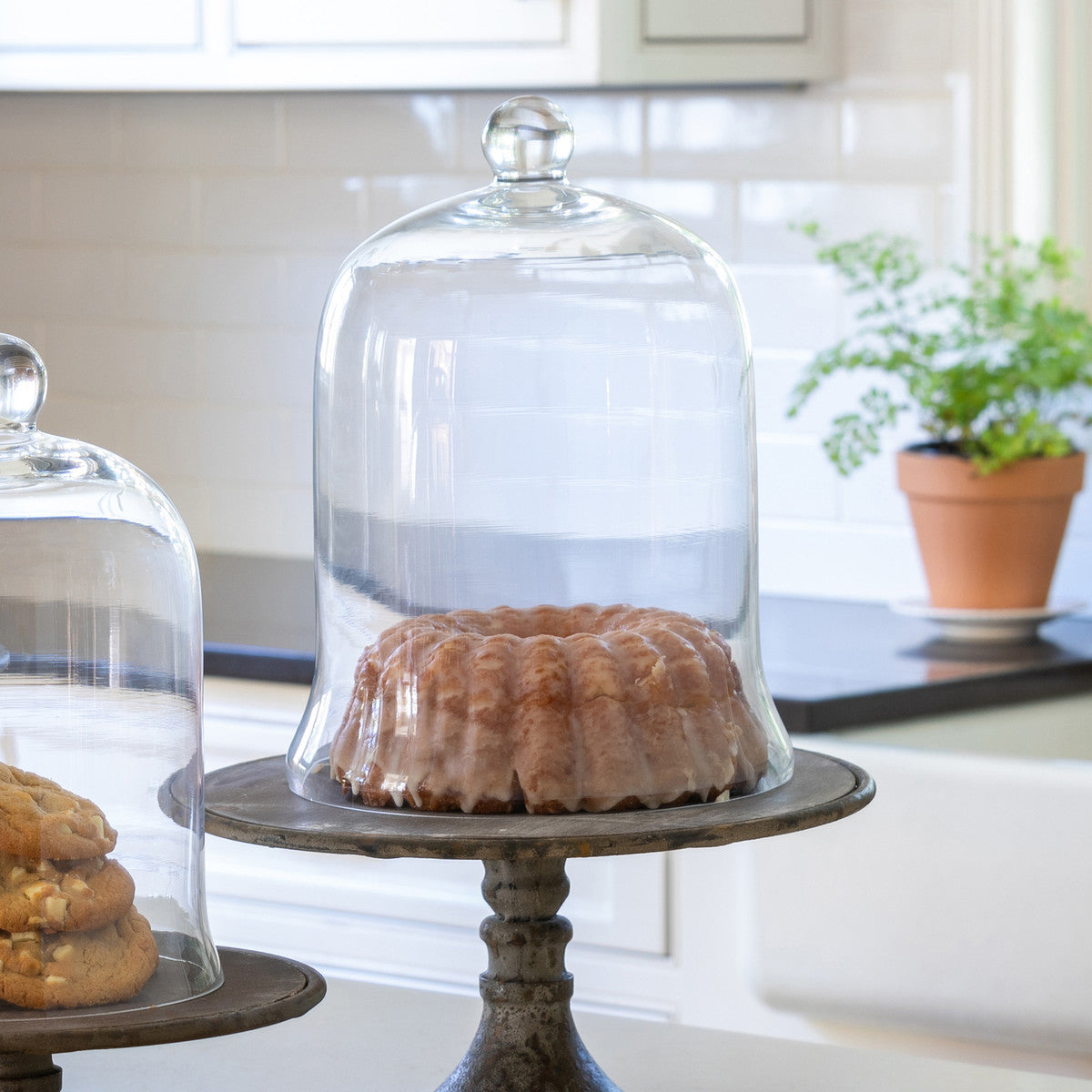 Glass Bell Jar